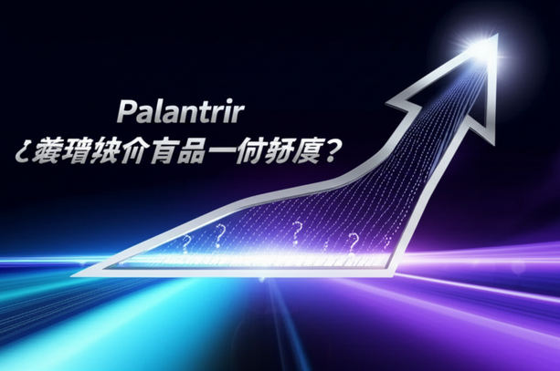 Palantir：AI浪潮中的数据巨头，是估值过高还是潜力无限？